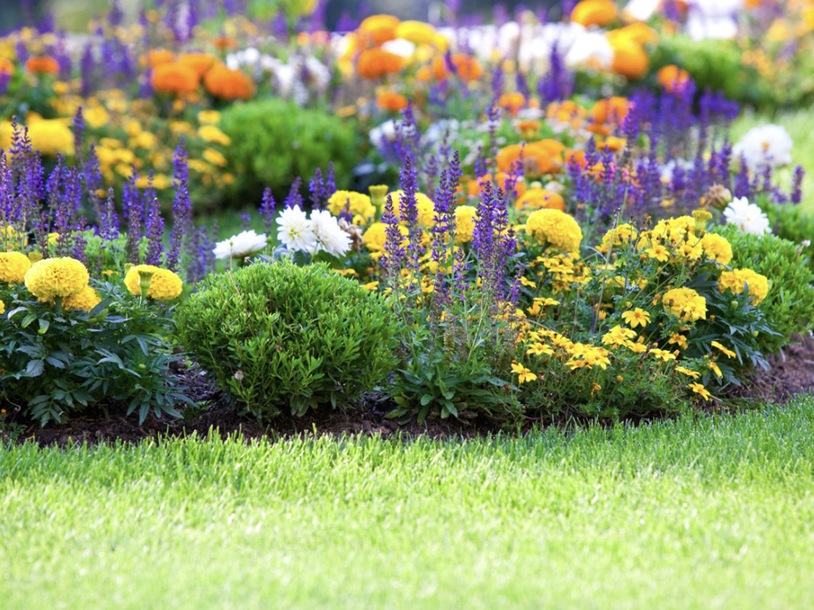 Read more about the article Werks Pro Rolls Out COVID Clean Service Bundles Featuring UV-C Light Technology, Microbial Analysis and Deep Cleaning