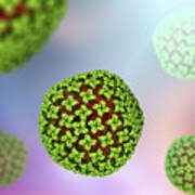 Go Werks Pro House Cleaning and Carpet Cleaning Protective Against Hantavirus